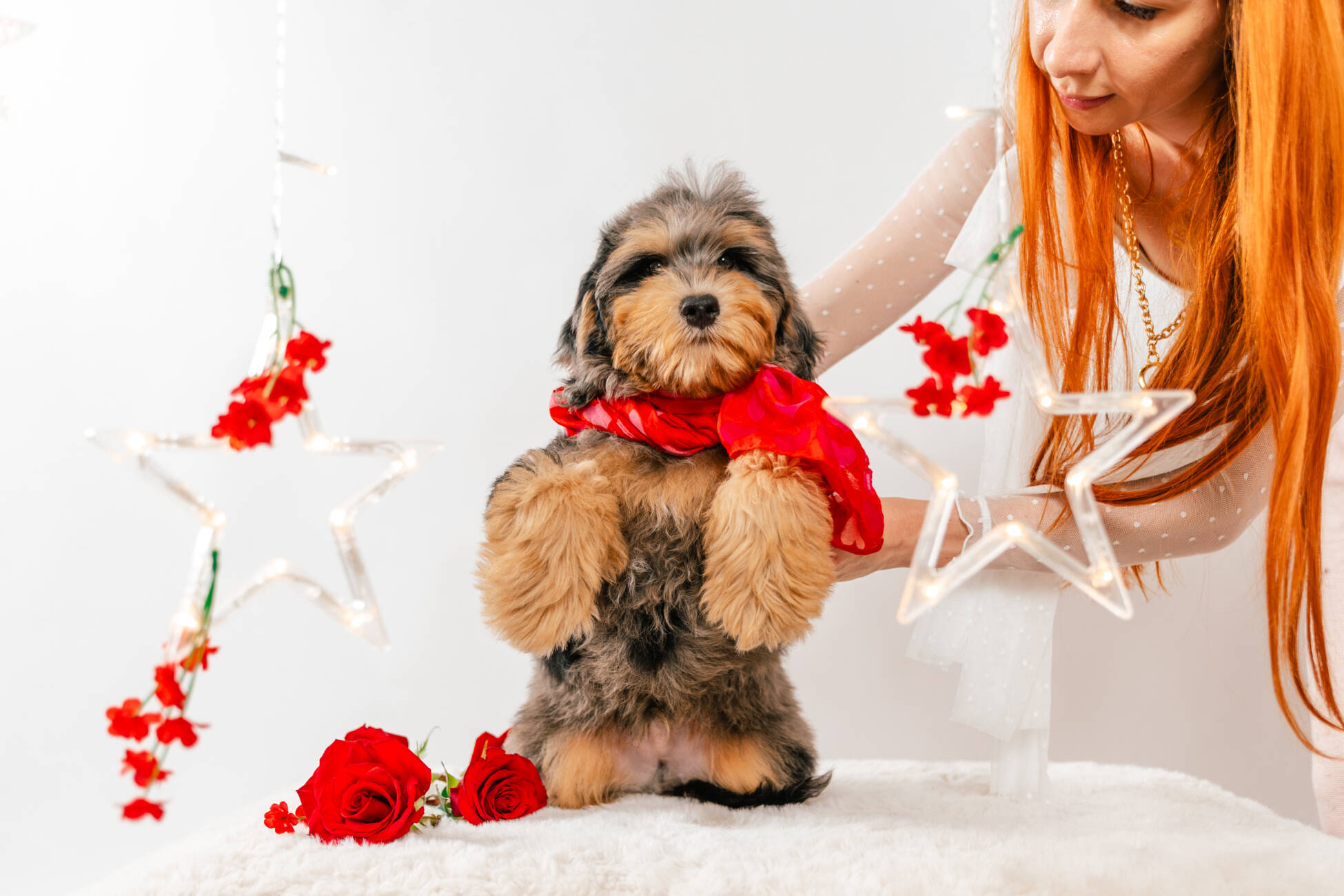 5litter 2 8545маверик 2