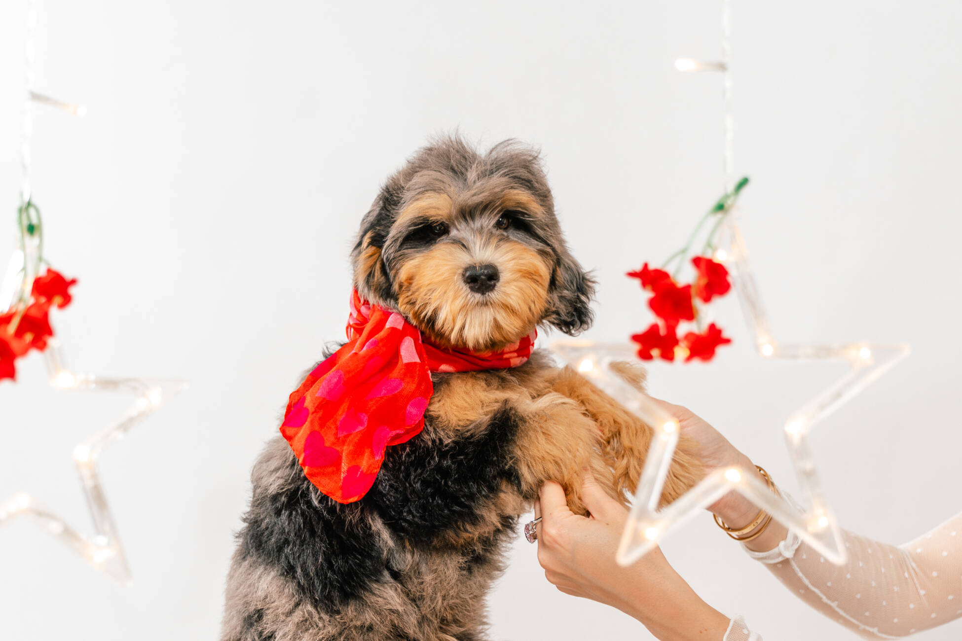 5litter 2 8545маверик 5