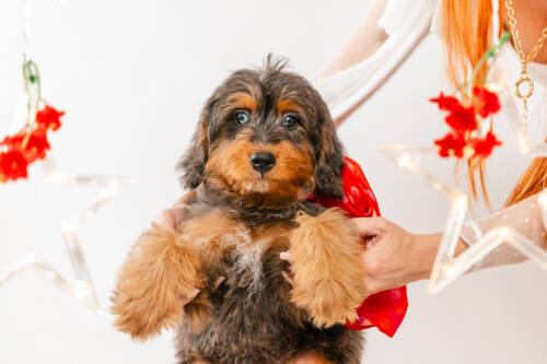 5litter 3 8629оли 4