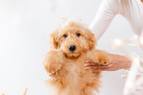 6litter 1 8547мочи 4