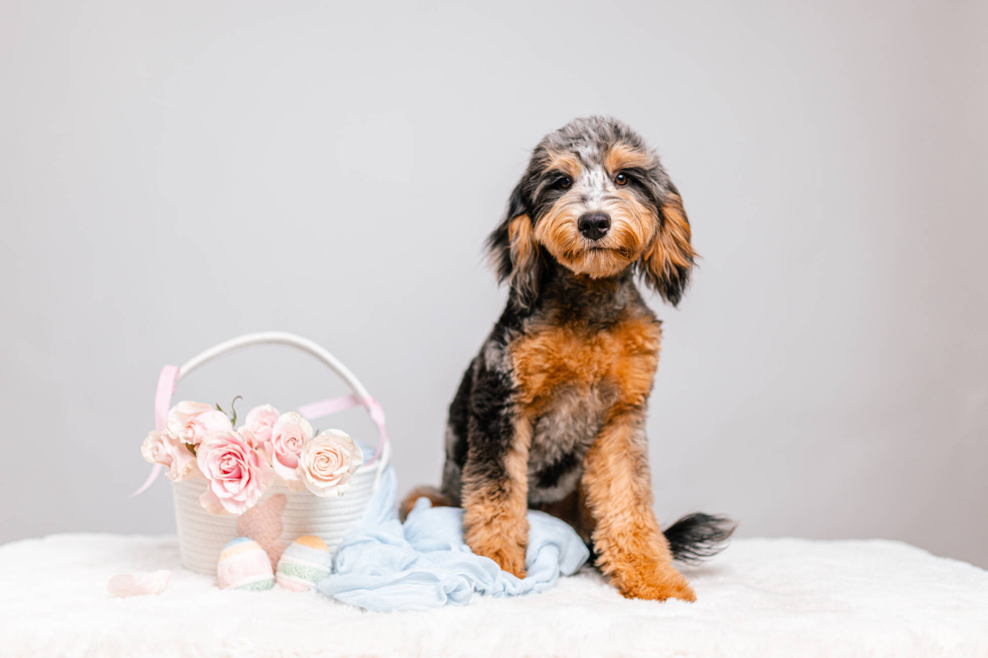 7litter 3маверик 1