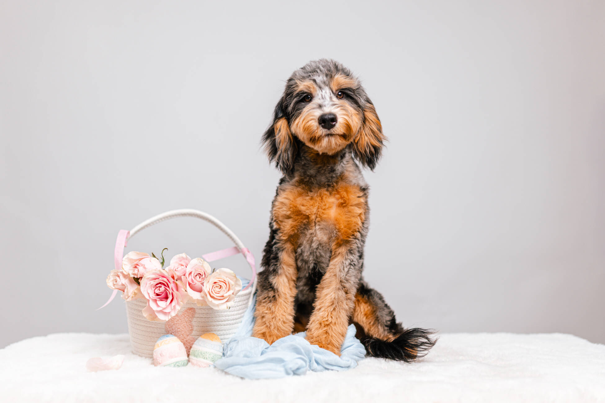 7litter 3маверик 2