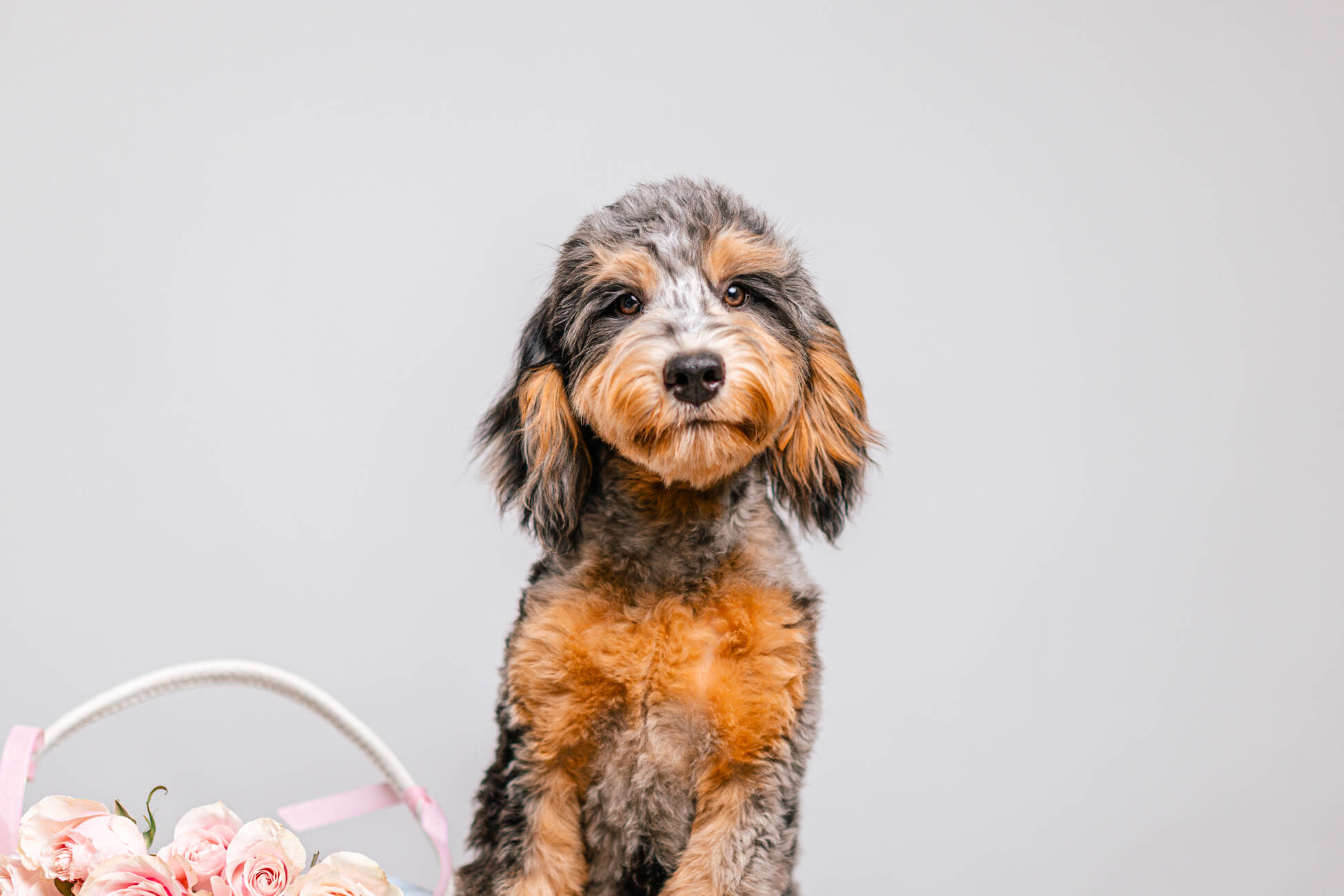 7litter 3маверик 3