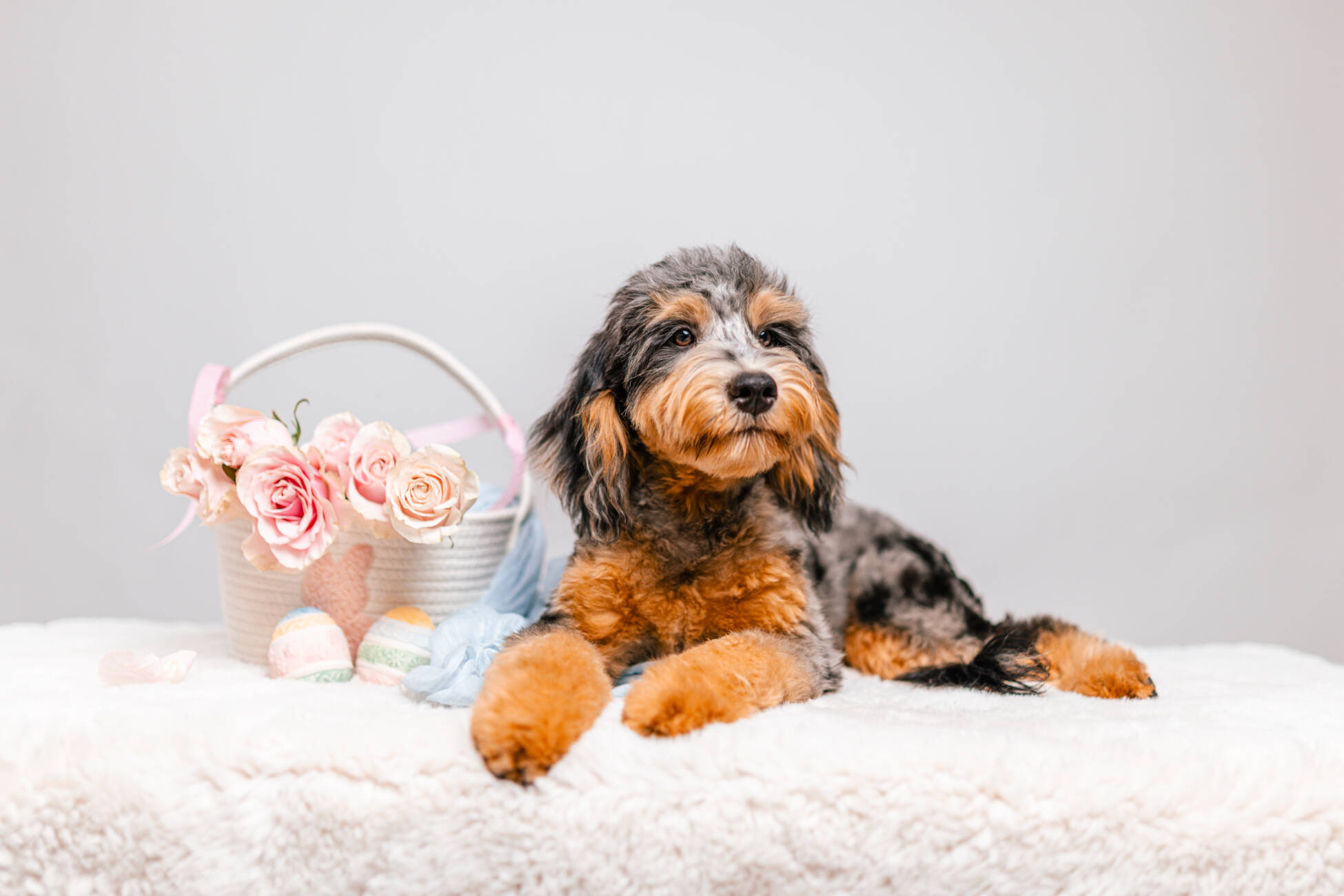 7litter 3маверик 4