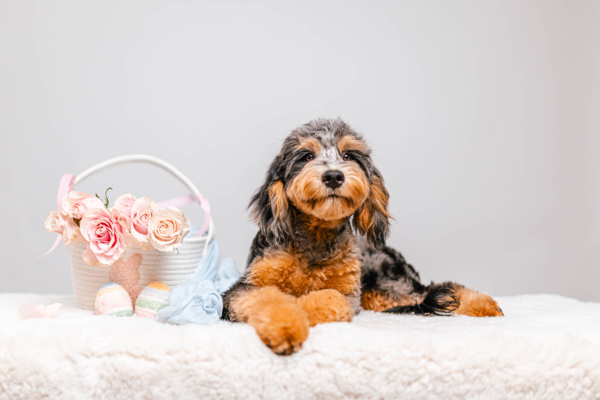 7litter 3маверик 5