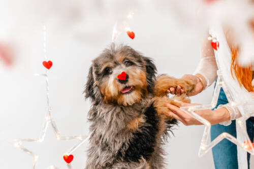 9litter 2b 8575нейви 7