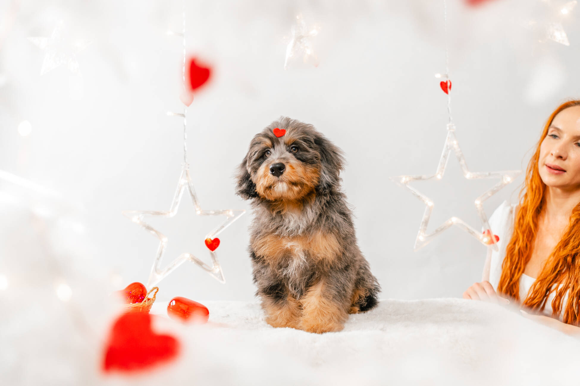 9litter 7b 8605полар беар 1