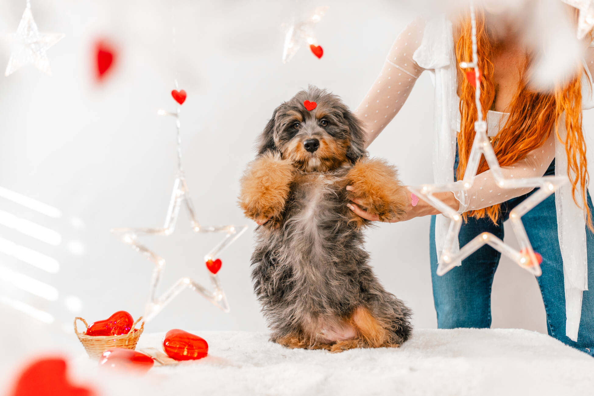 9litter 7b 8605полар беар 4