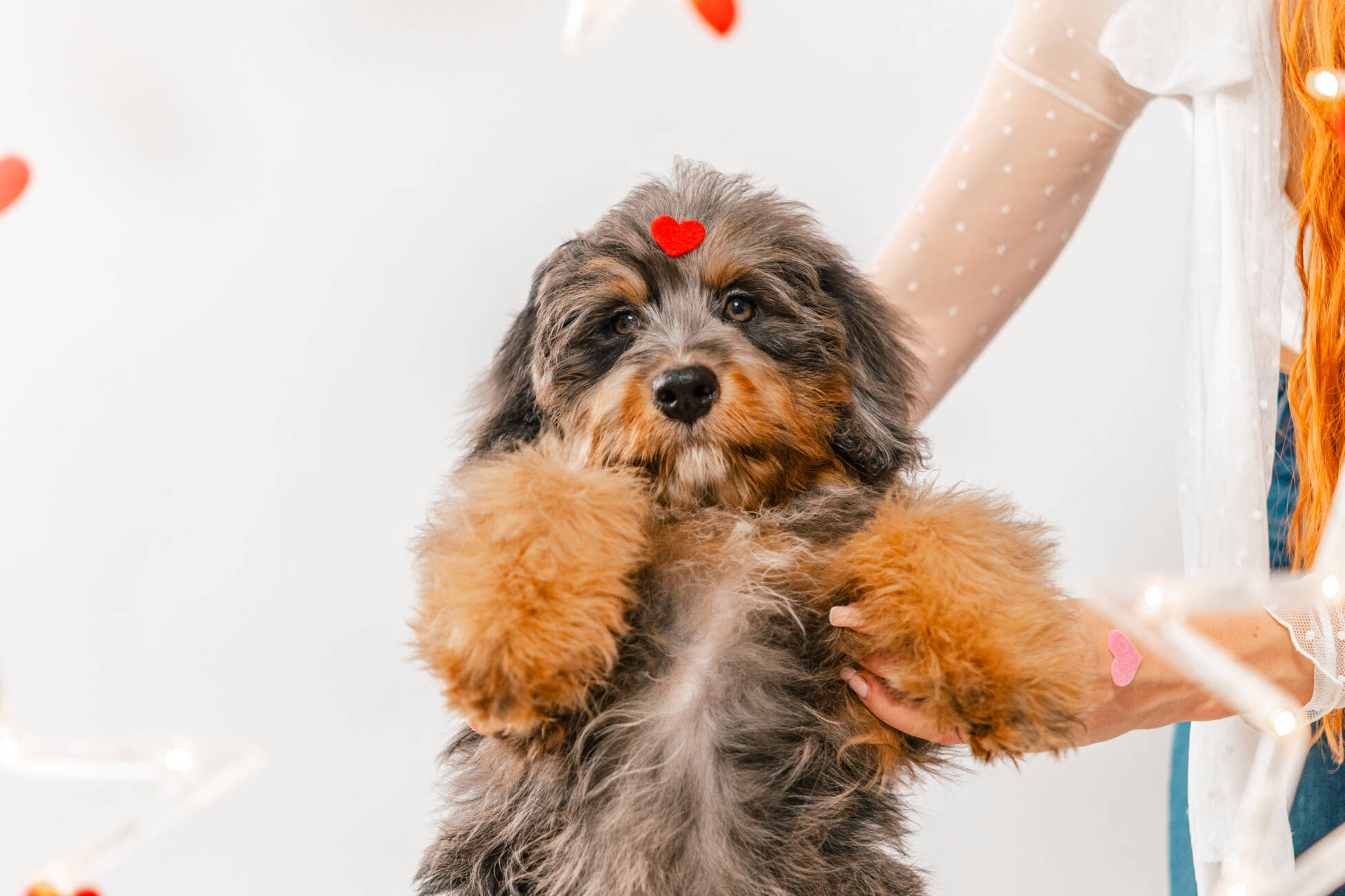 9litter 7b 8605полар беар 5