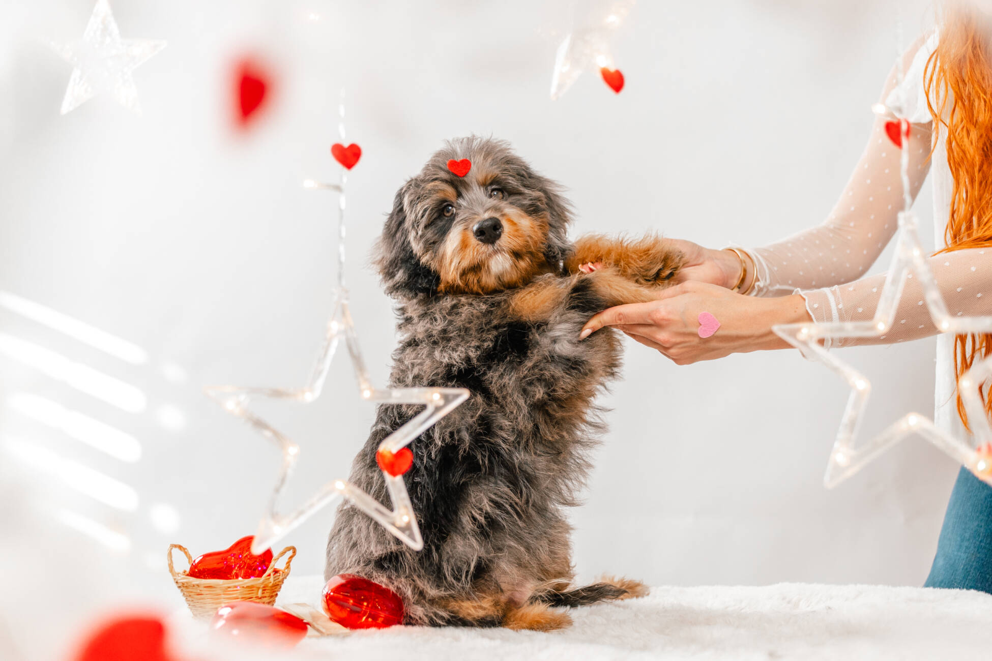 9litter 7b 8605полар беар 7