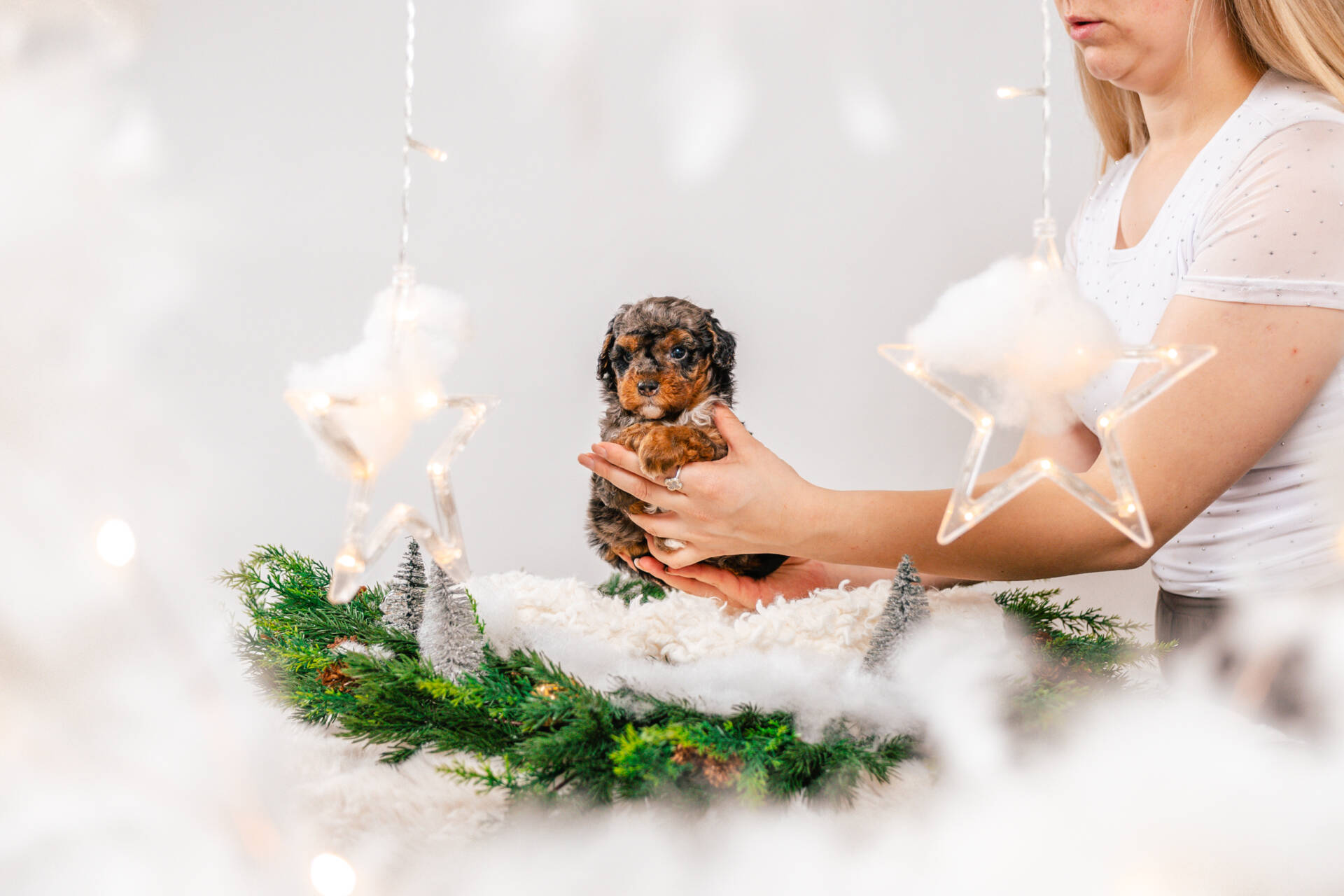 Bunny - Micro Mini Girl - Image 6