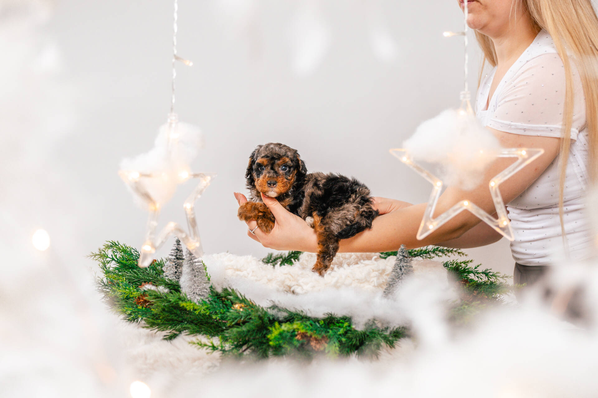 Bunny - Micro Mini Girl - Image 2