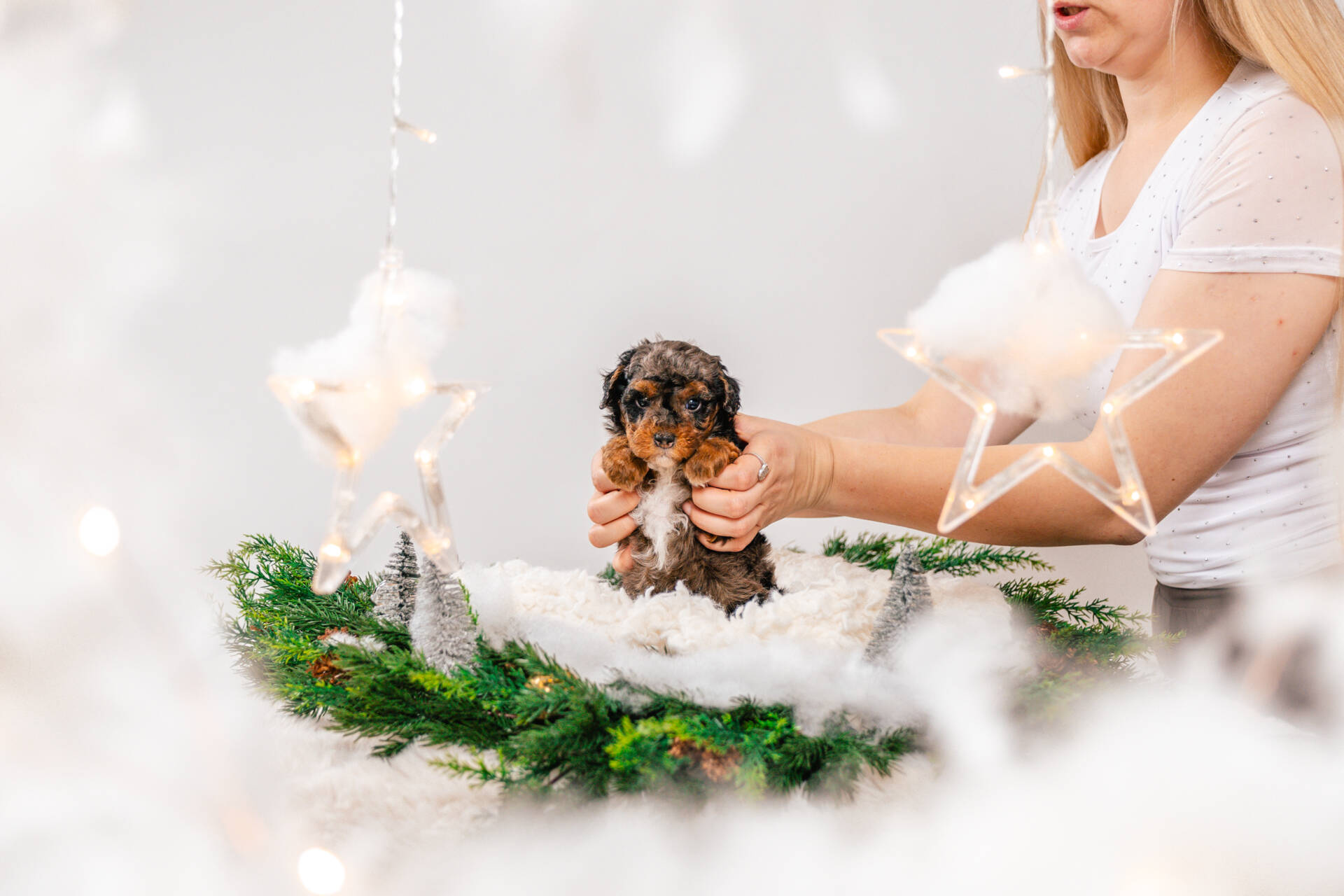 Bunny - Micro Mini Girl - Image 3