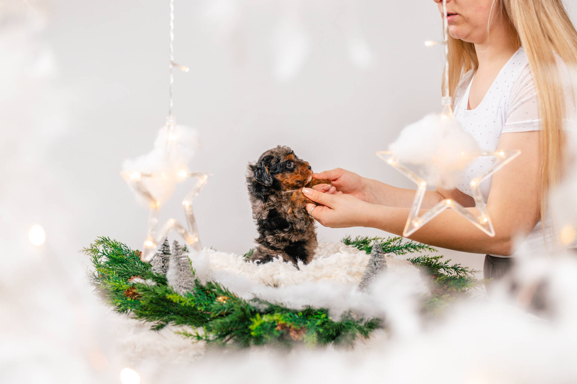 Bunny - Micro Mini Girl - Image 5