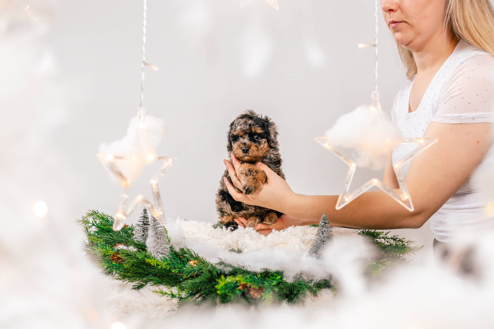 Boba - Micro Mini Boy - Image 2