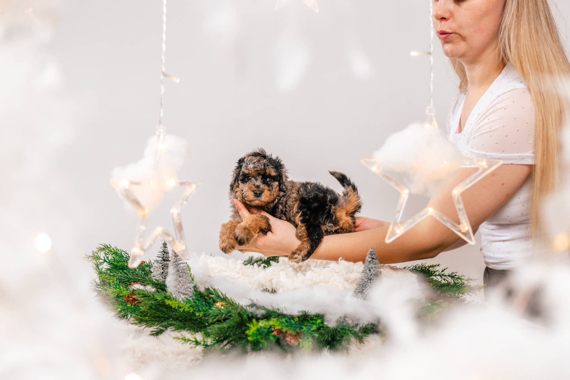 Boba - Micro Mini Boy - Image 3