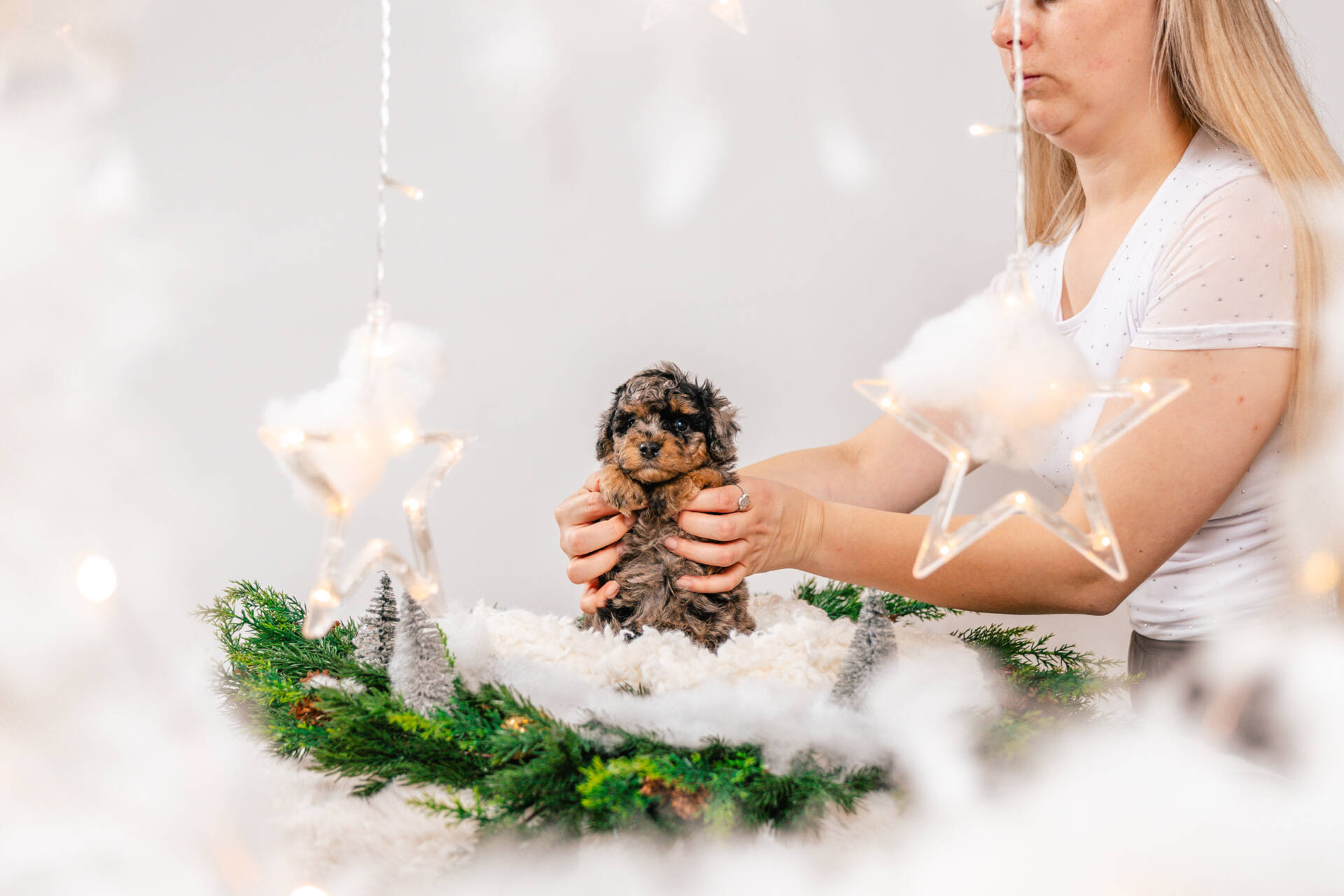 Boba - Micro Mini Boy - Image 4