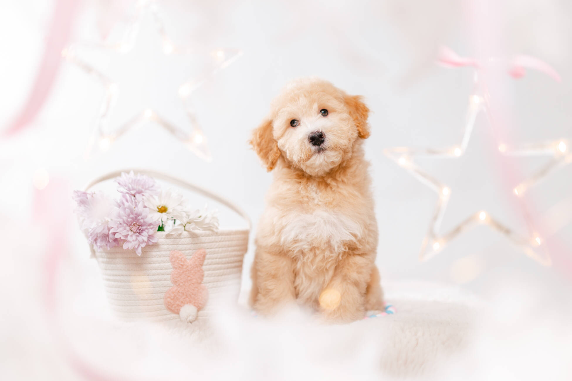 4ёlitter 2 7229марли 1