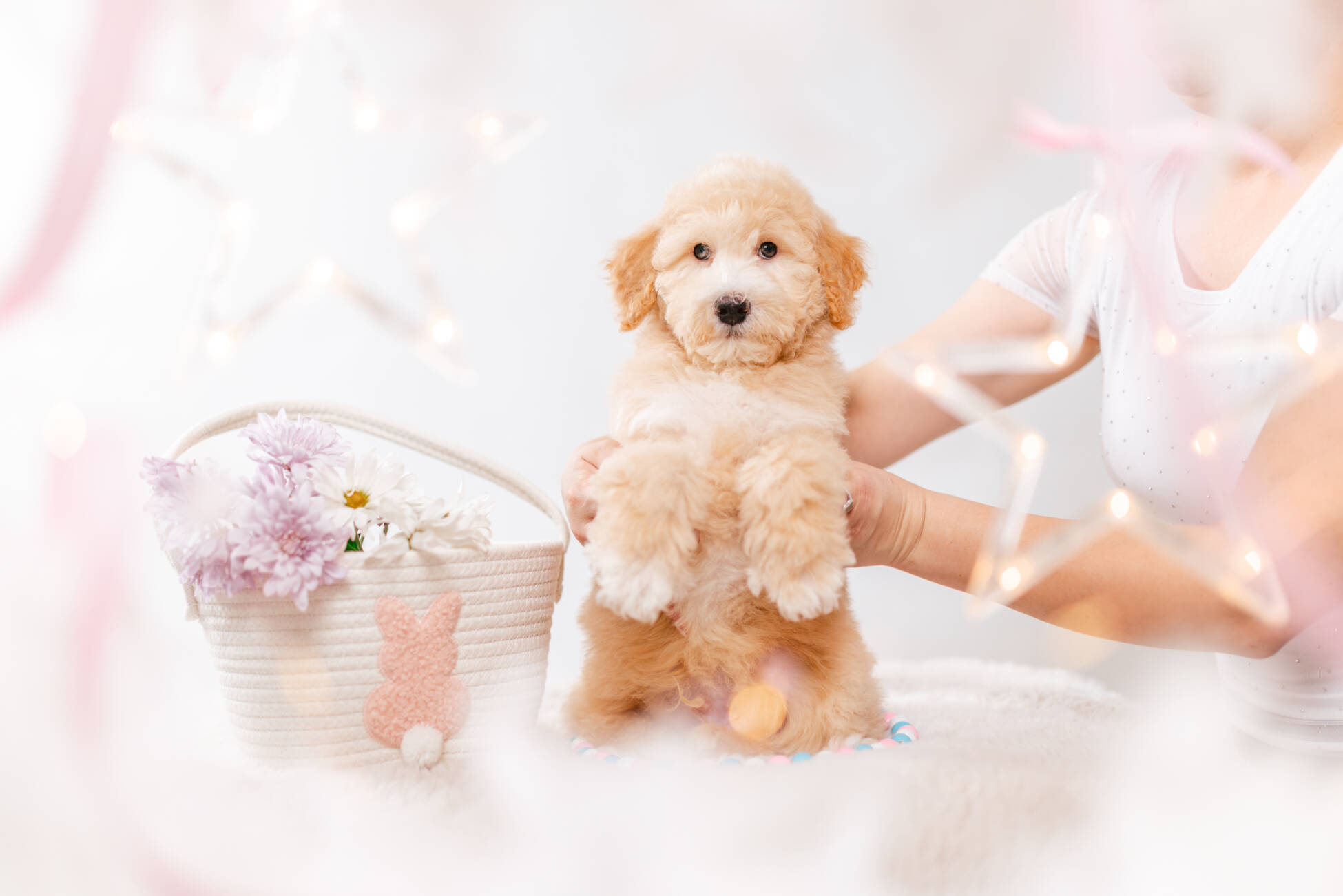 4ёlitter 2 7229марли 2