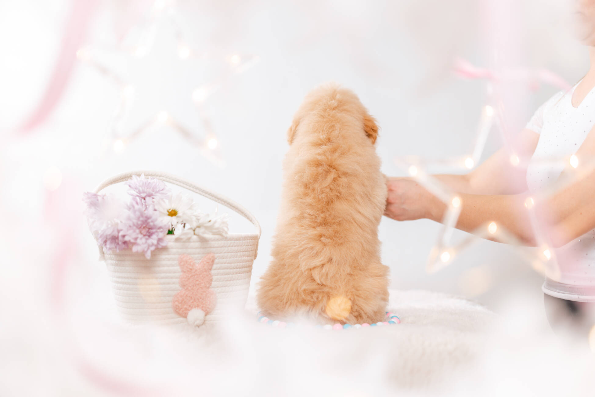 4ёlitter 2 7229марли 5