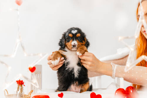 6litter 3g7097лили 3