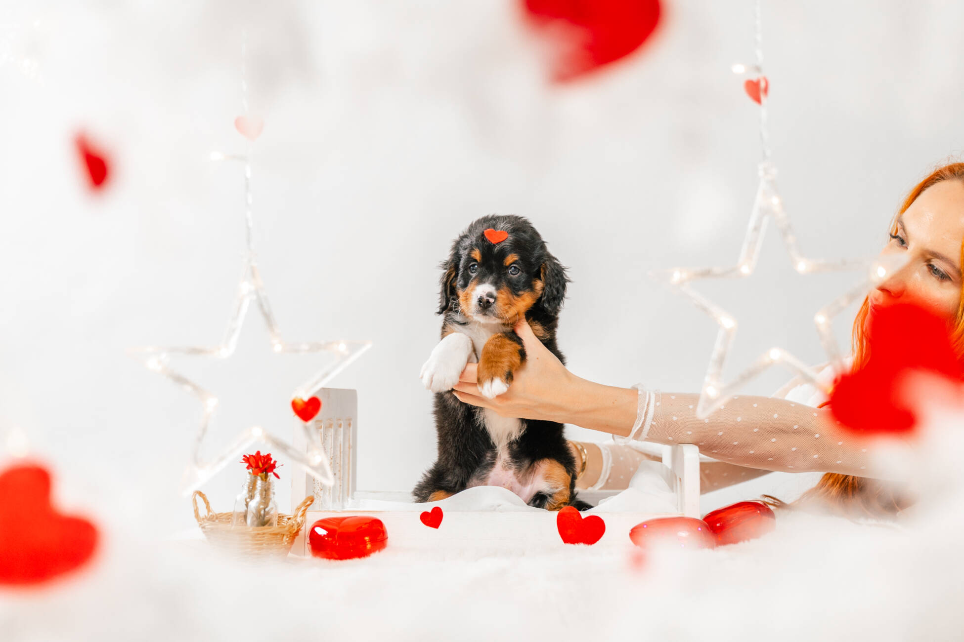 6litter 6b7095лео 1