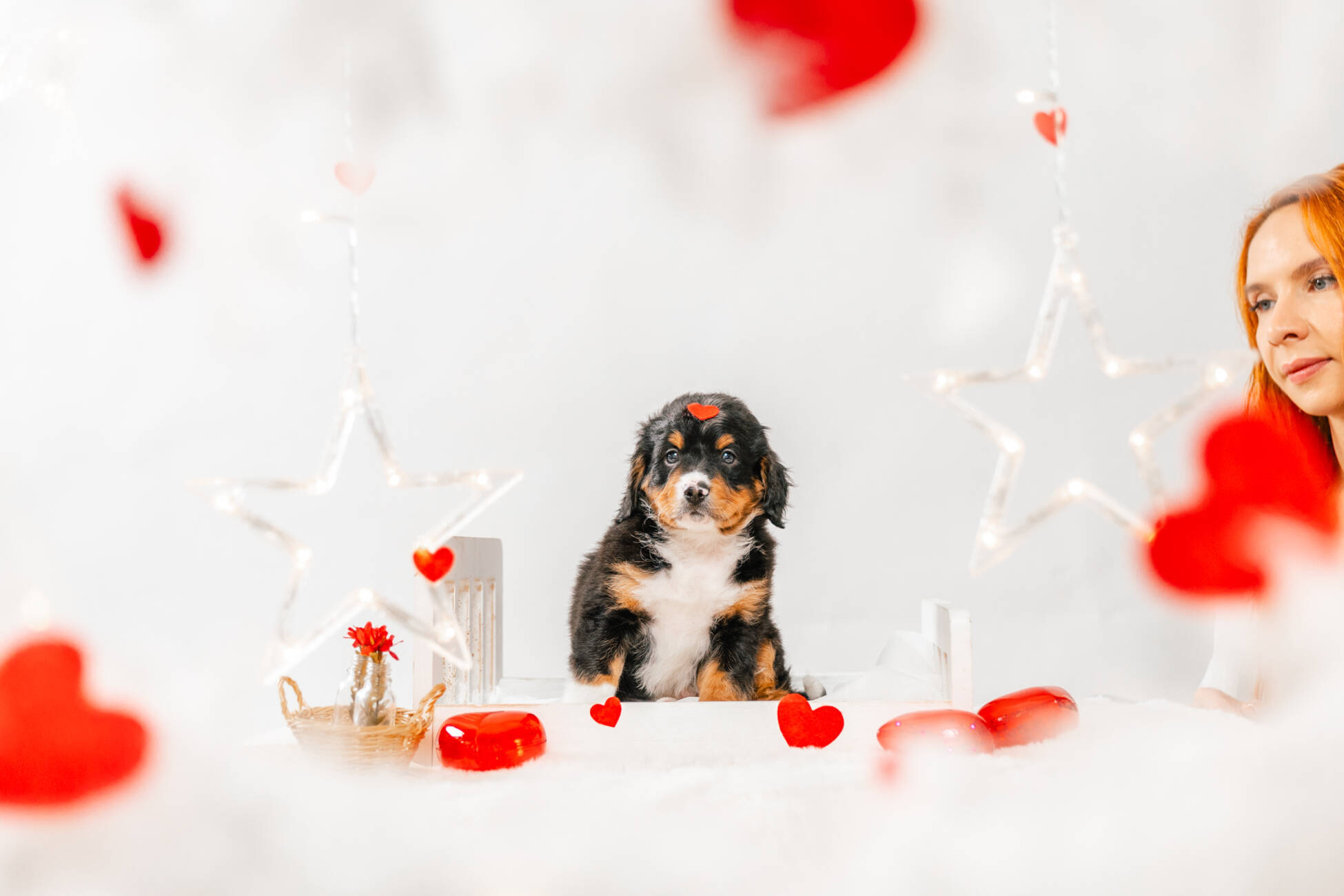 6litter 6b7095лео 4