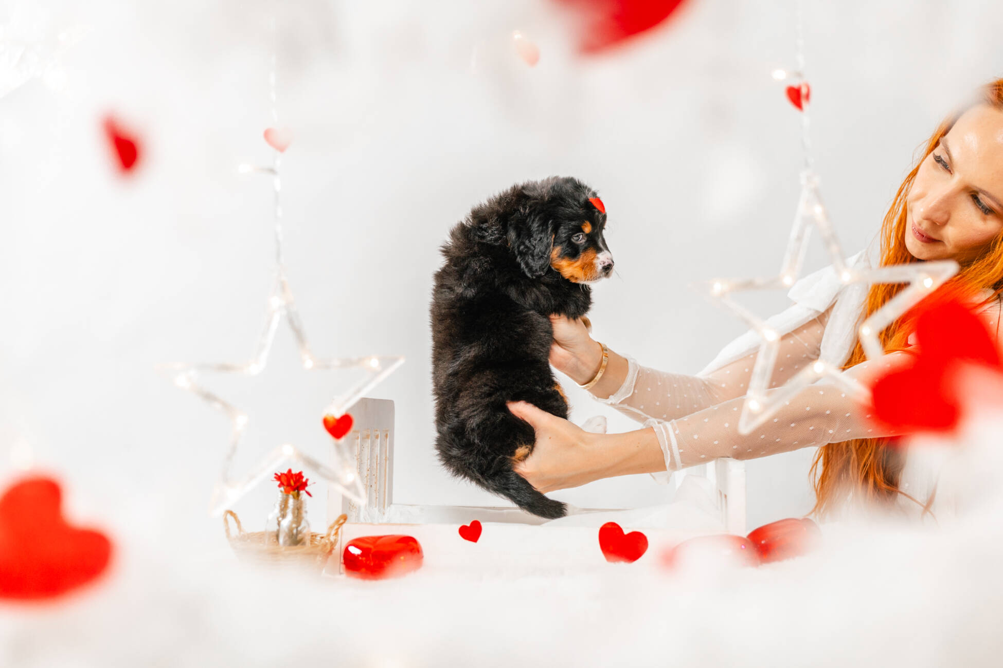 6litter 6b7095лео 5