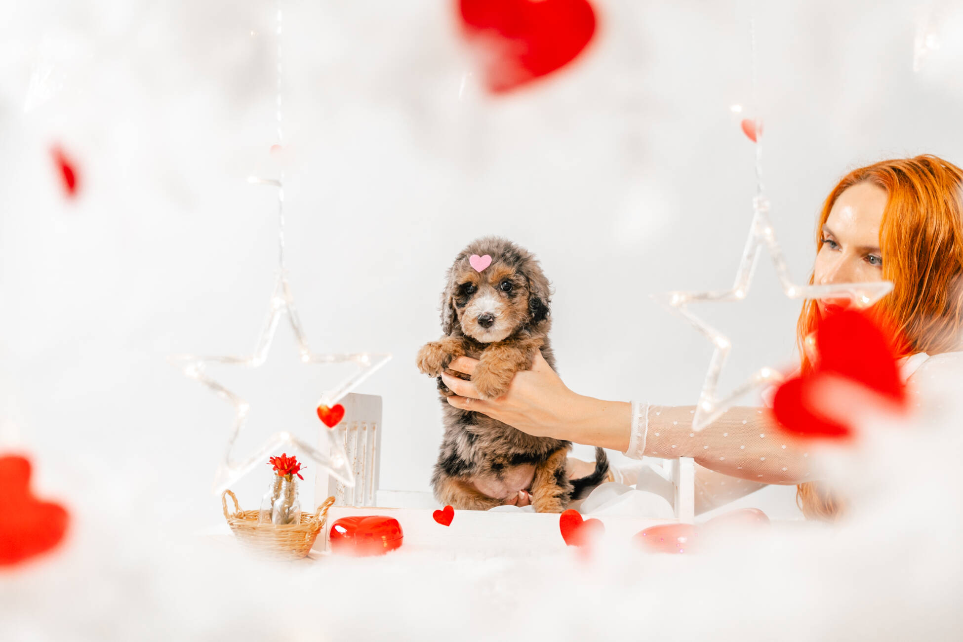 7litter 7g7035мини 1