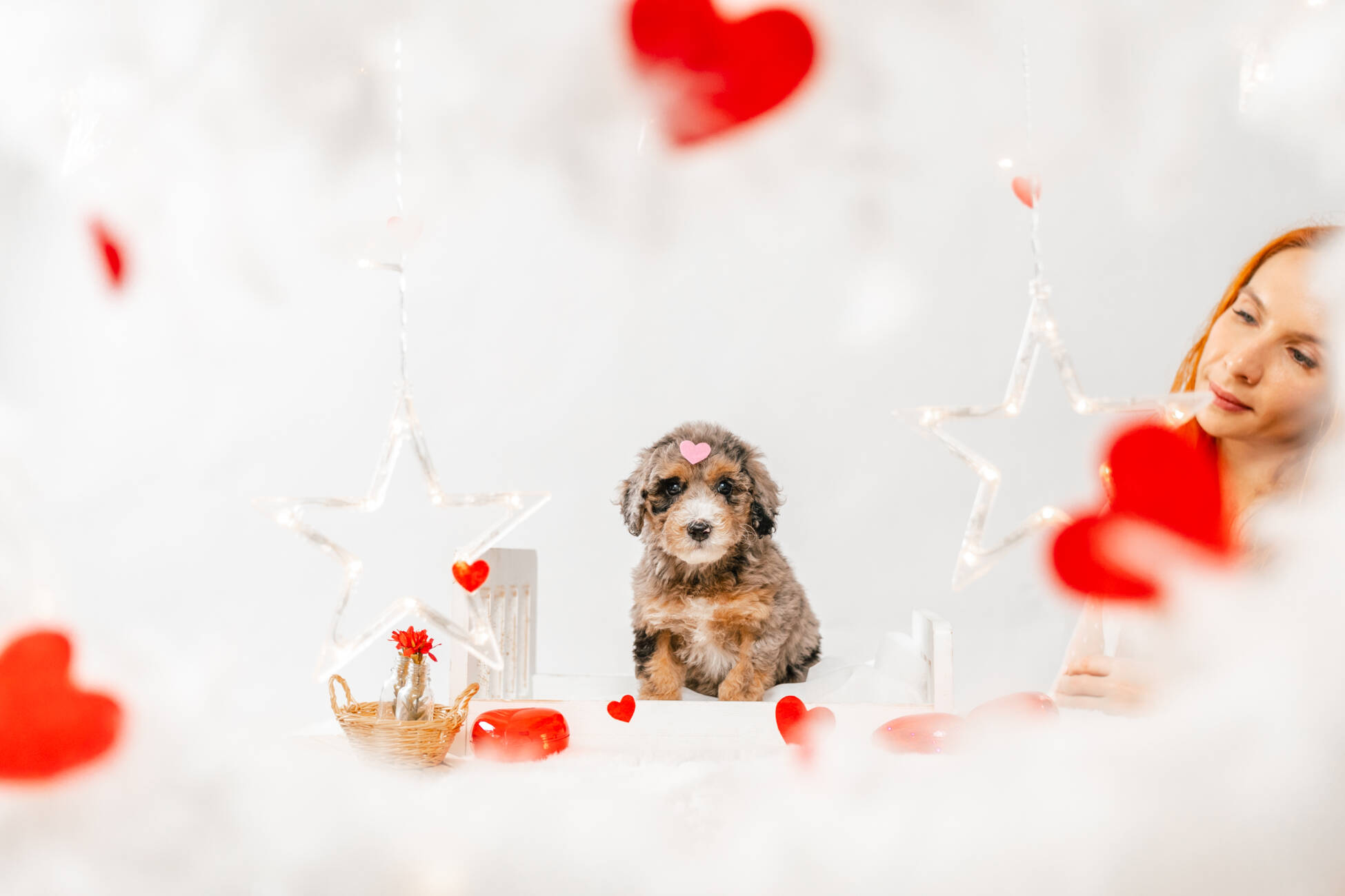 7litter 7g7035мини 4