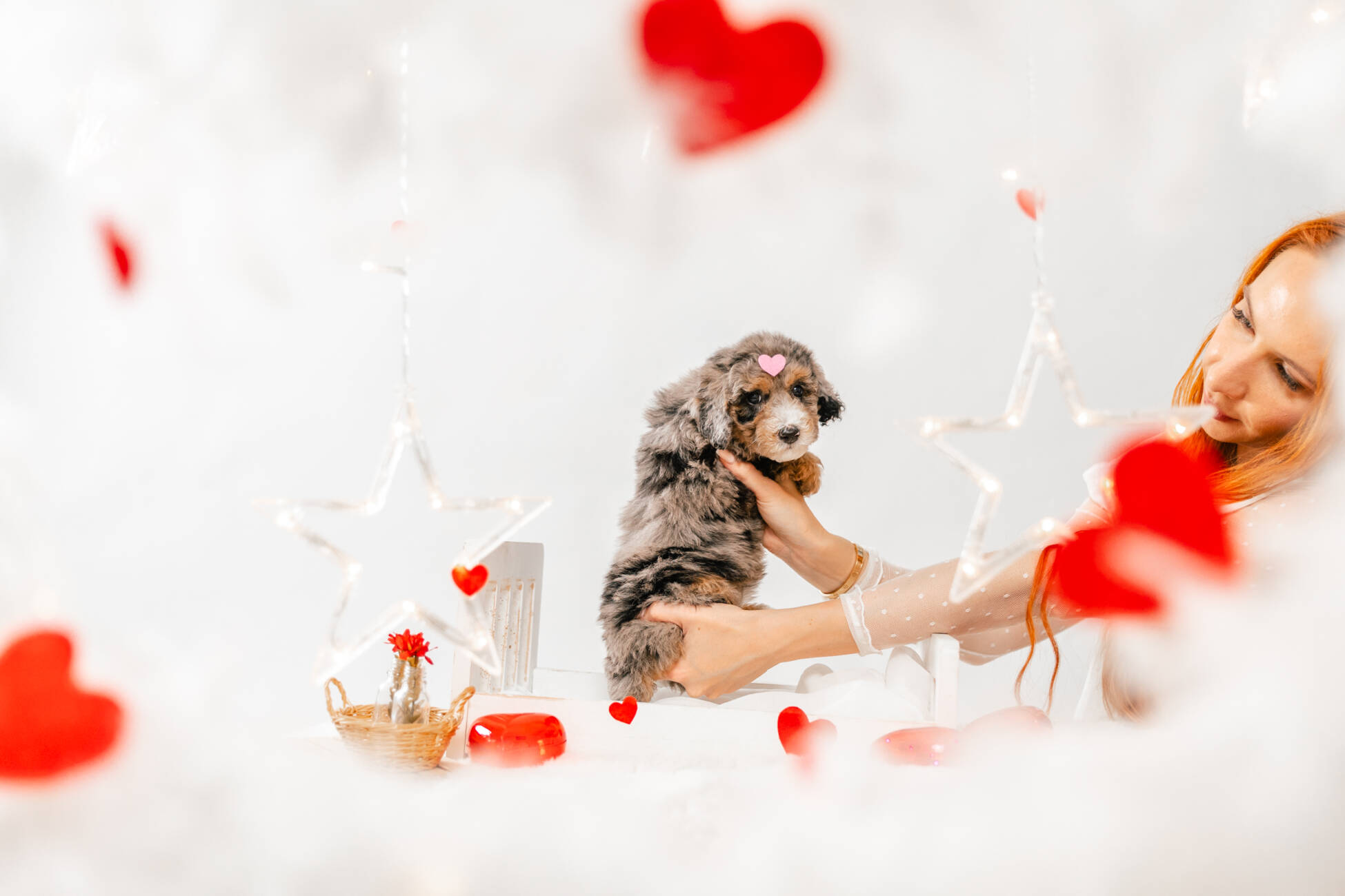 7litter 7g7035мини 5