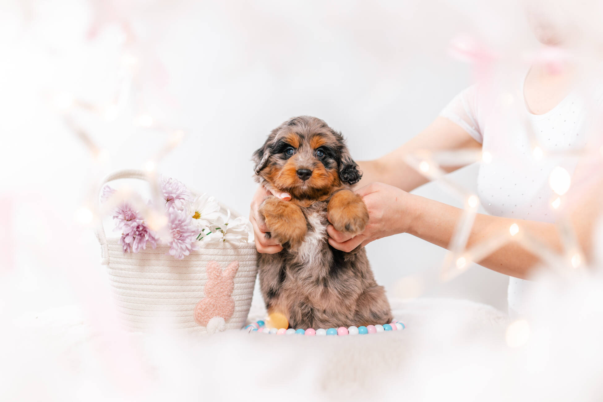 2litter 1g7091хармони 2