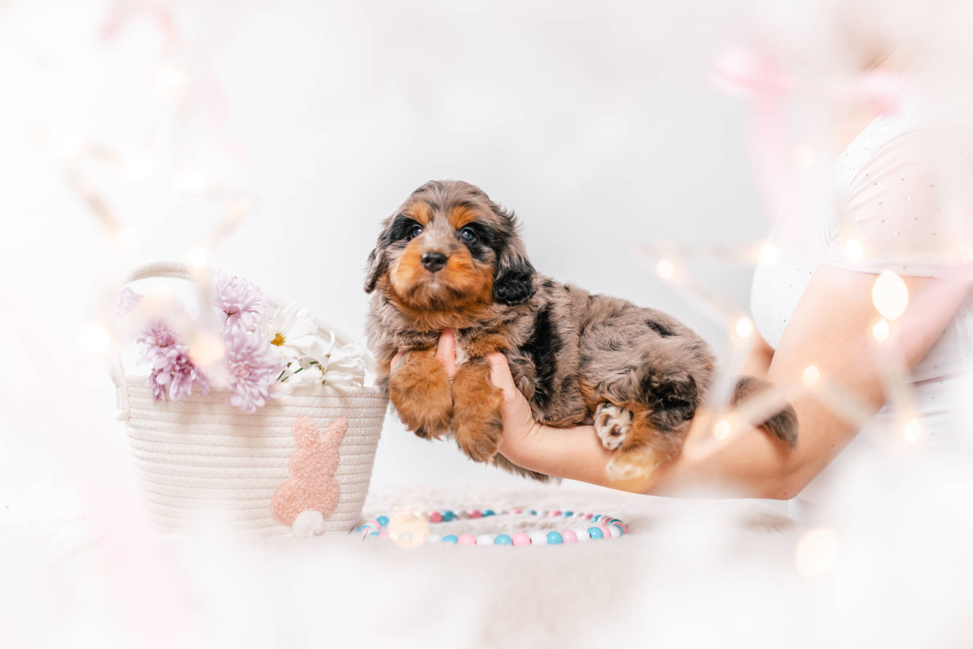 2litter 1g7091хармони 4