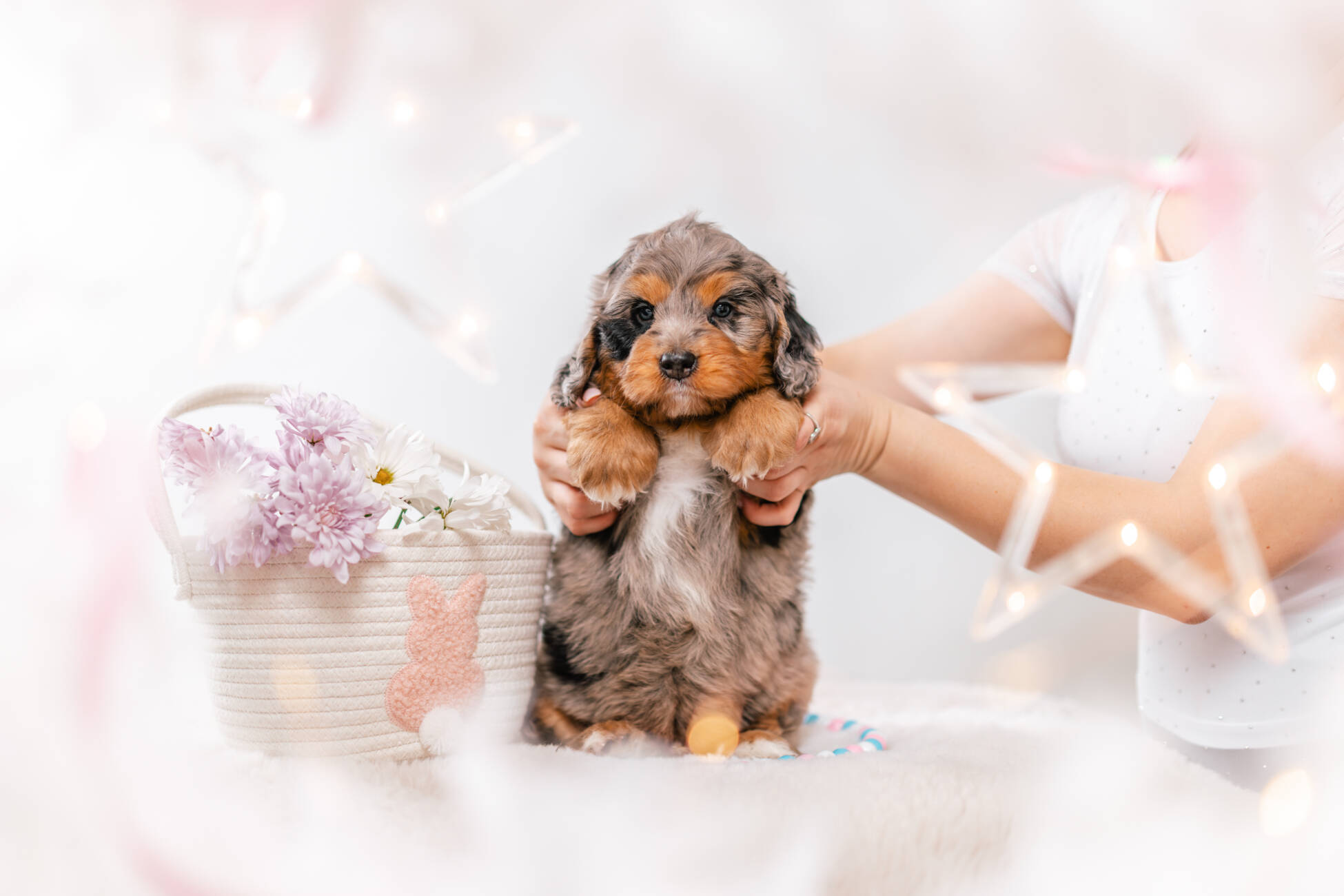 2litter 3b7092херши 2