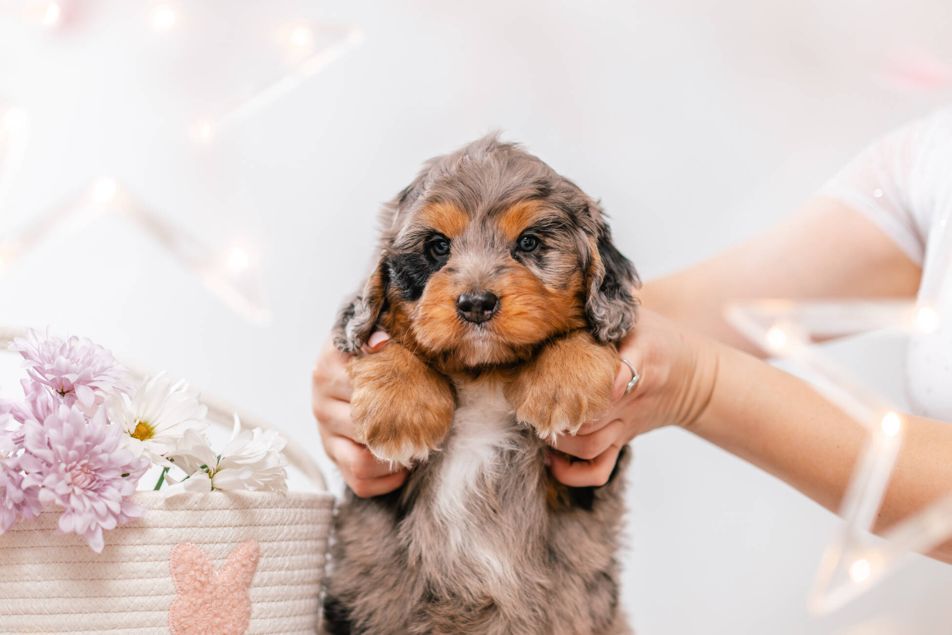 2litter 3b7092херши 3