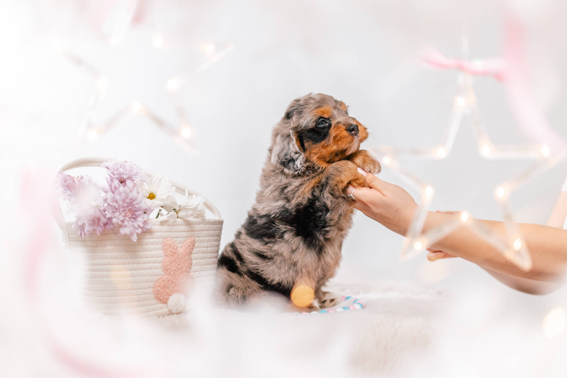 2litter 3b7092херши 4