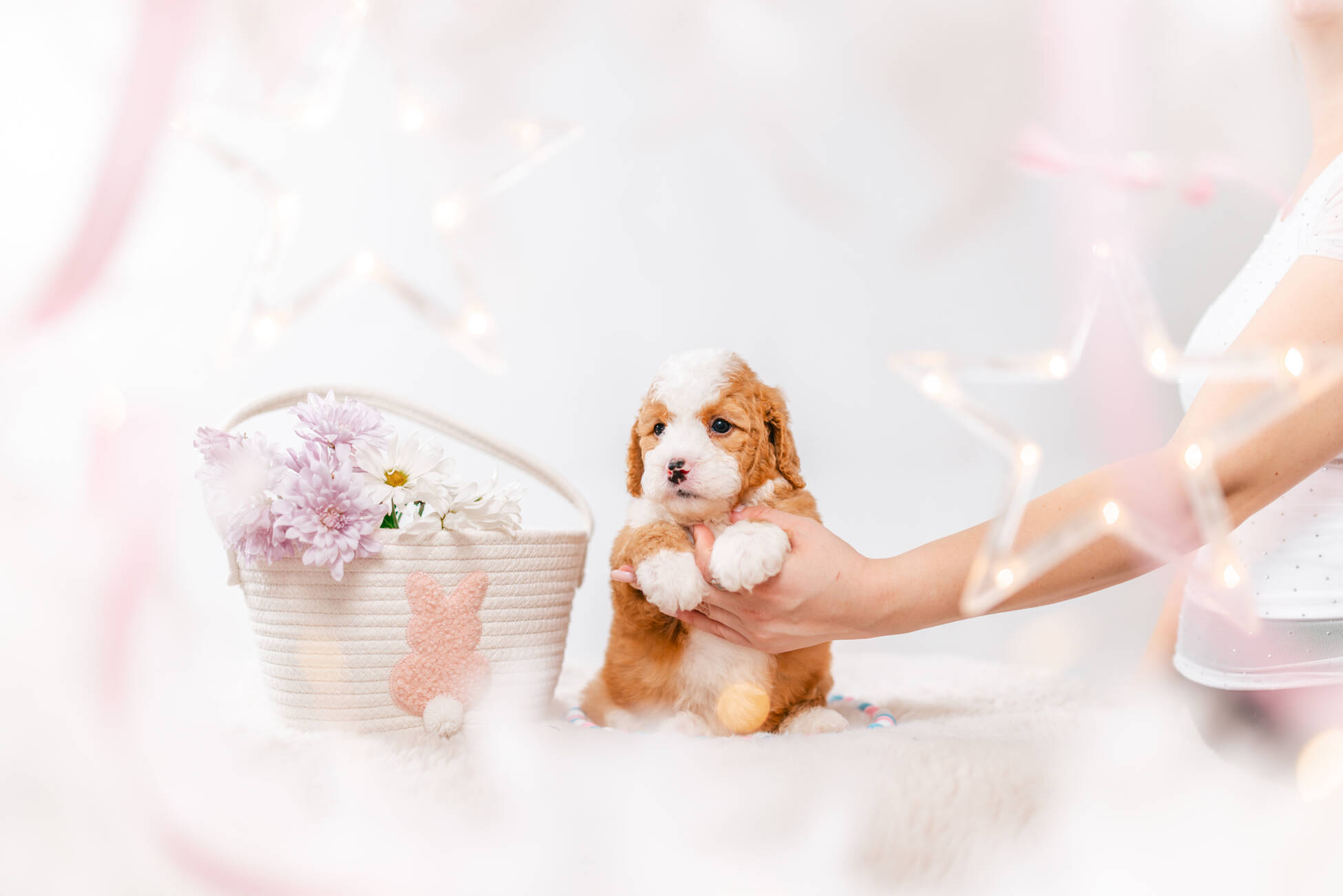 3litter 10b7221фуджи 1