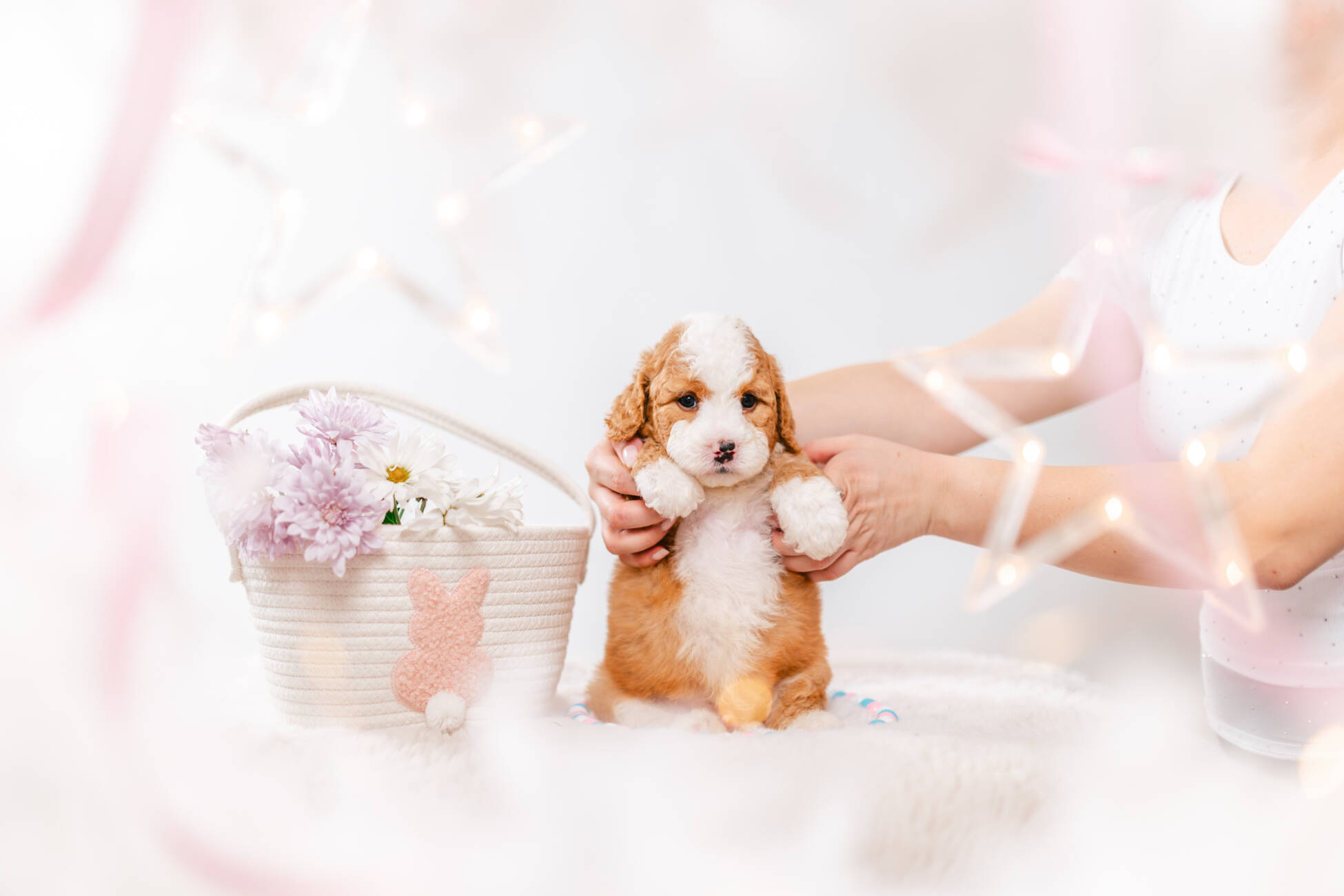 3litter 10b7221фуджи 2