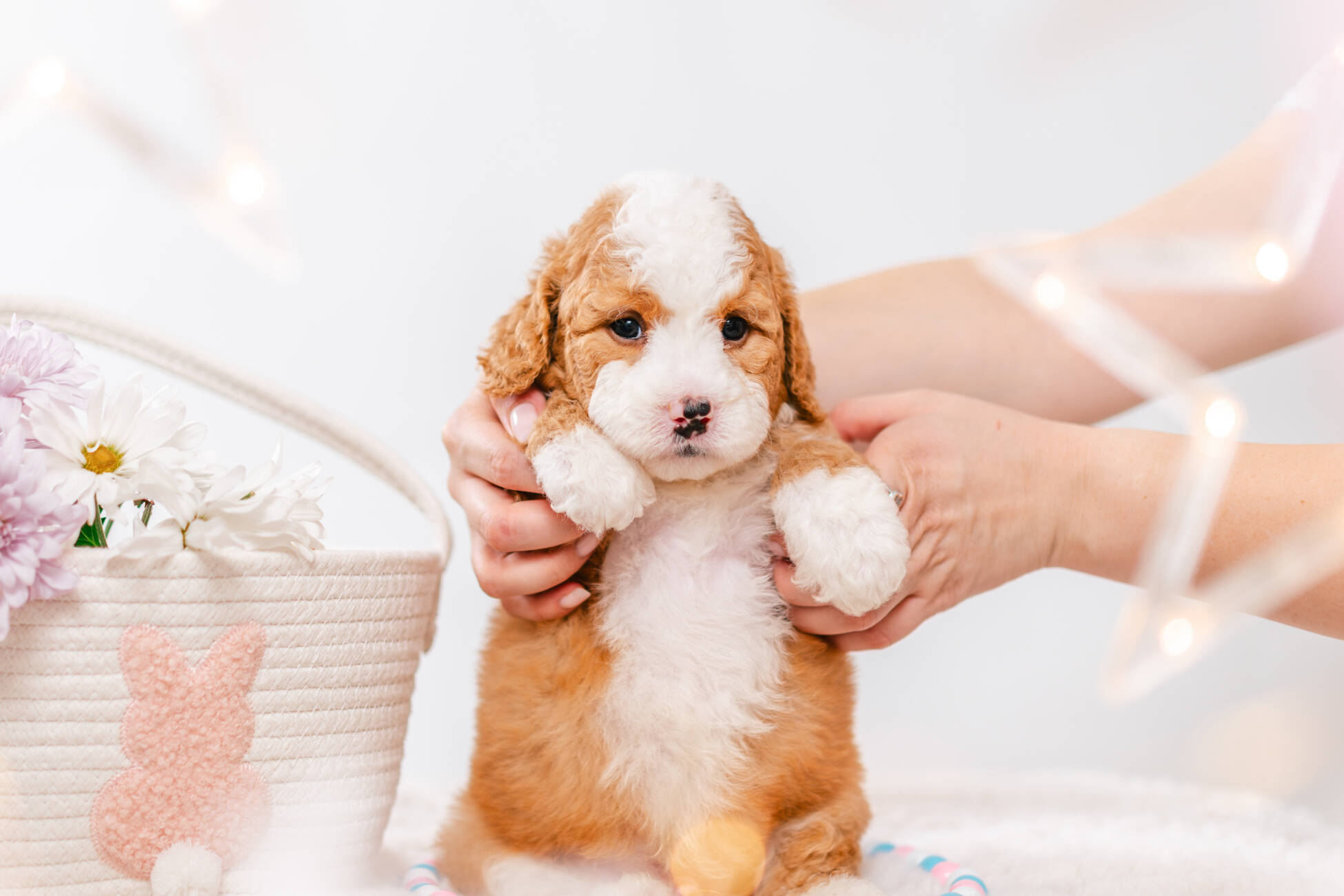 3litter 10b7221фуджи 3