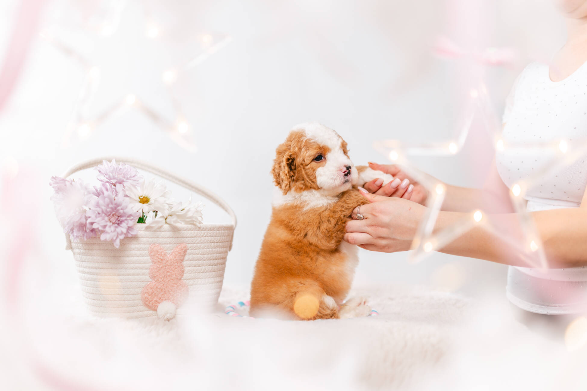 3litter 10b7221фуджи 4