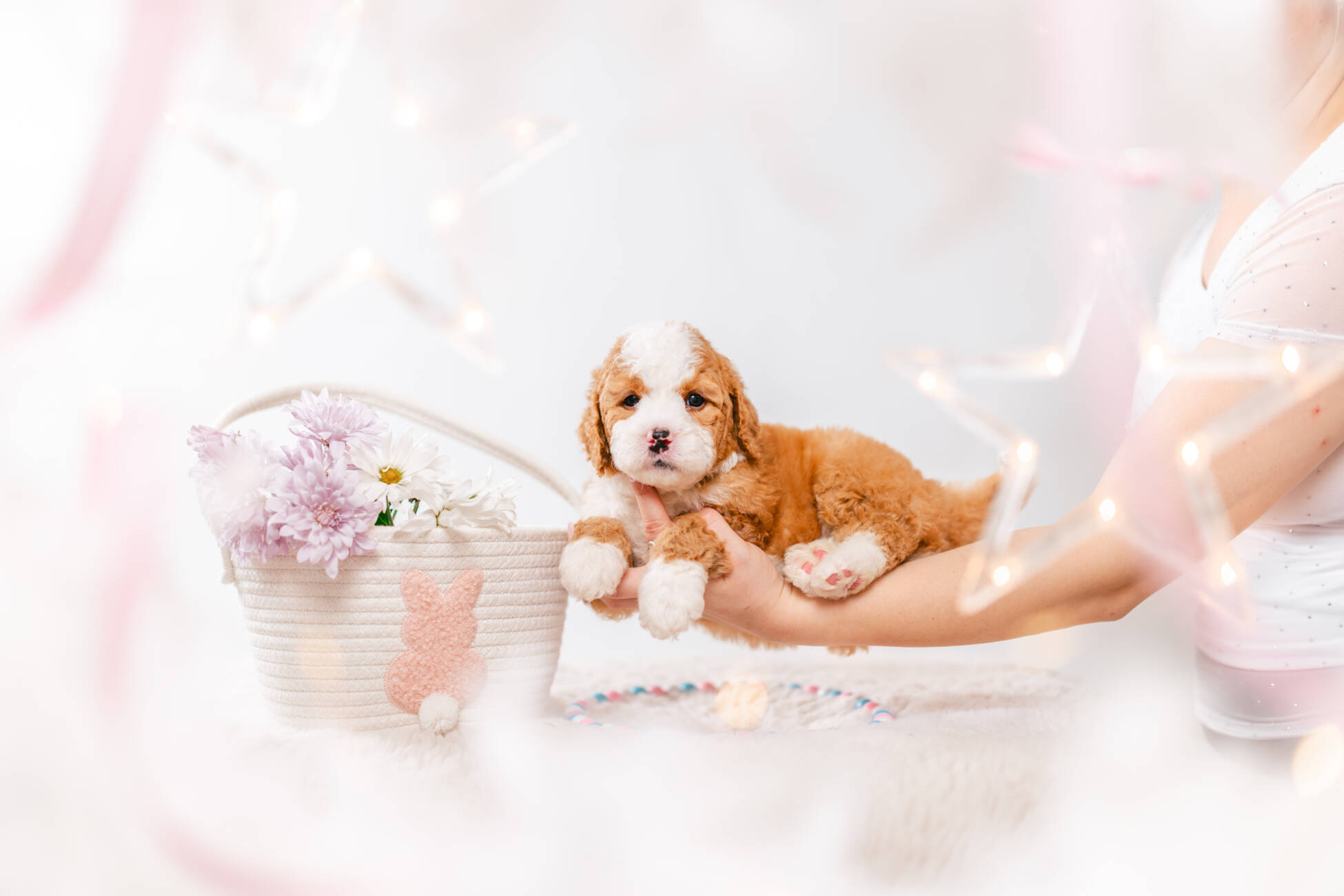 3litter 10b7221фуджи 5