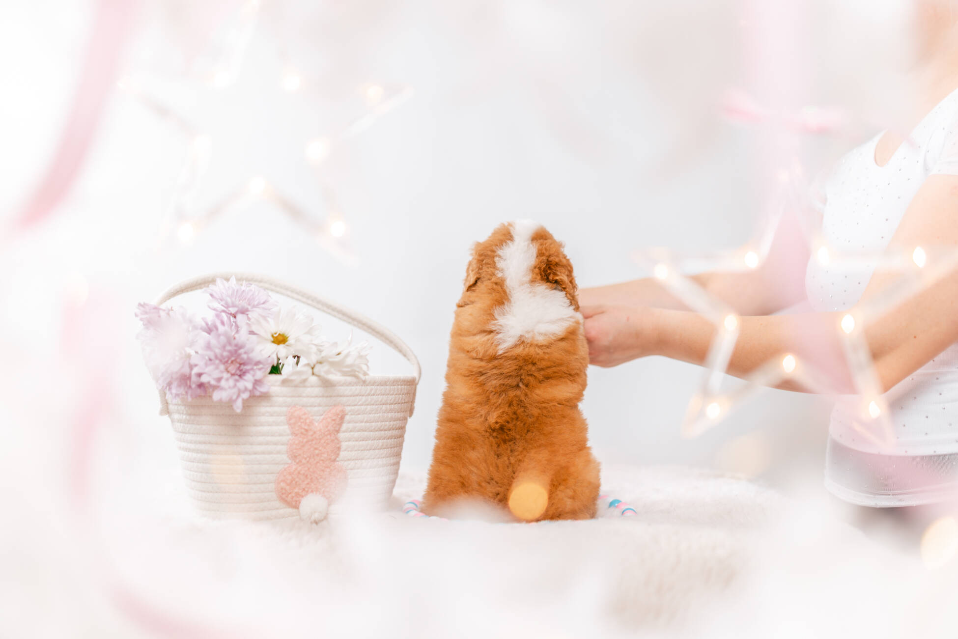 3litter 10b7221фуджи 6