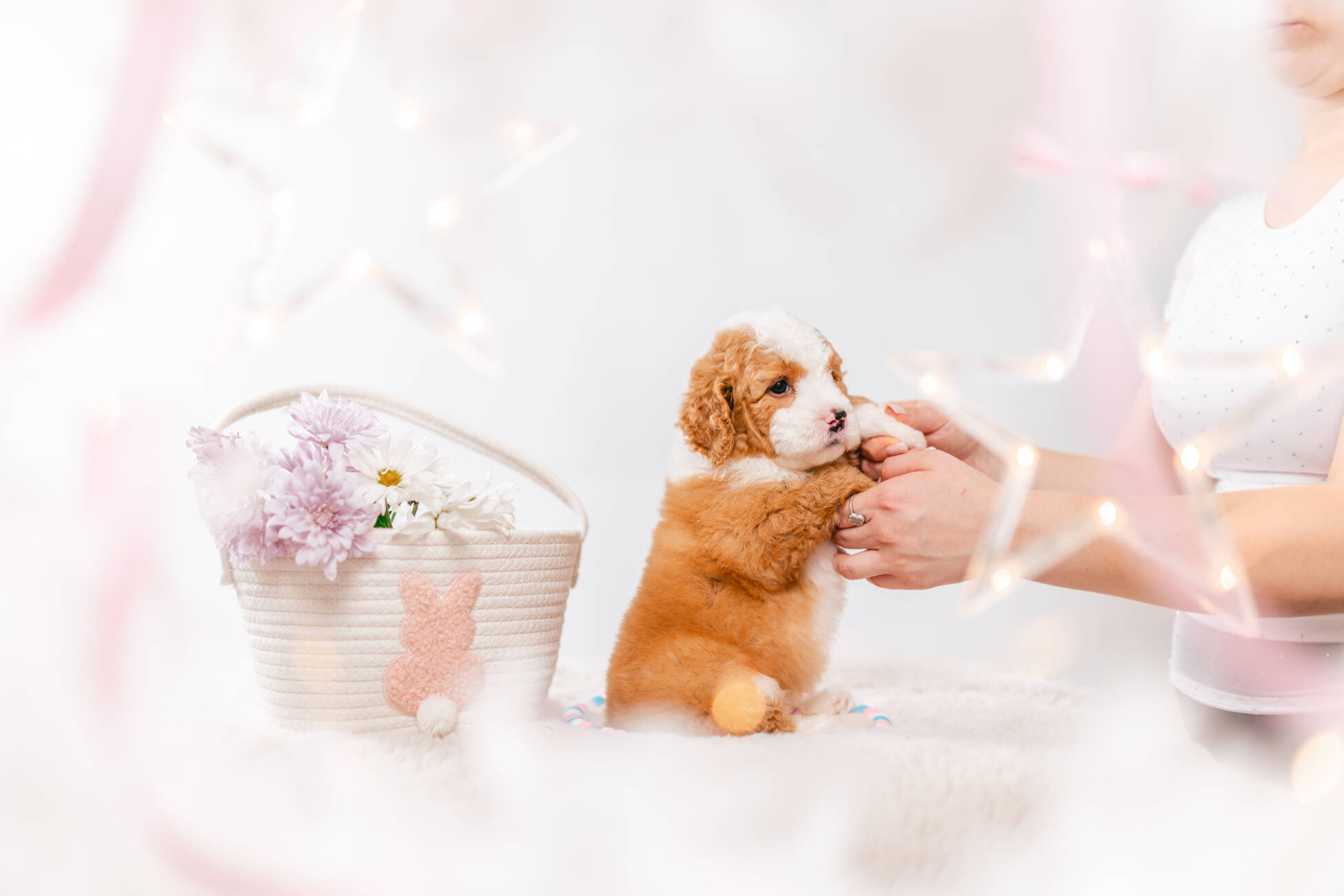 3litter 10b7221фуджи 7