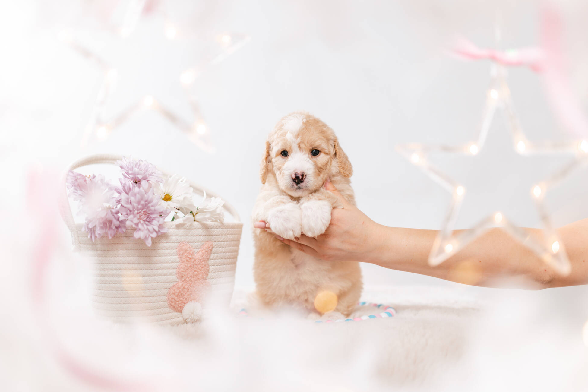 3litter 1g7279фокси 1