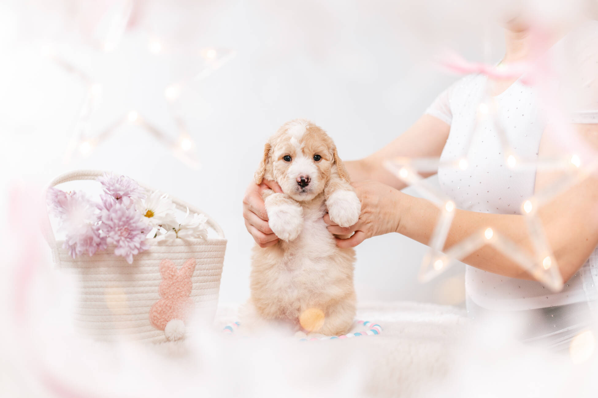 3litter 1g7279фокси 3