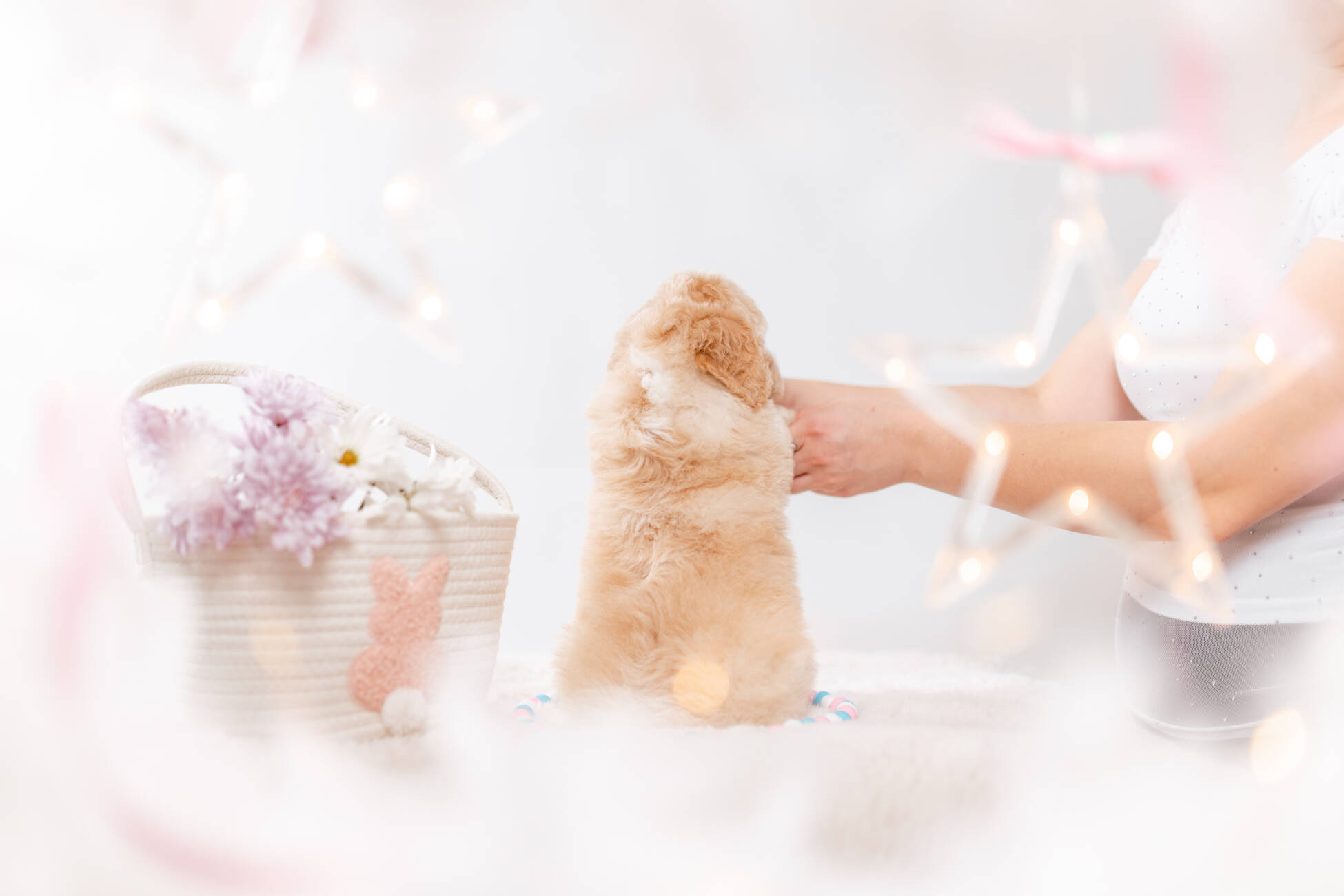 3litter 1g7279фокси 5