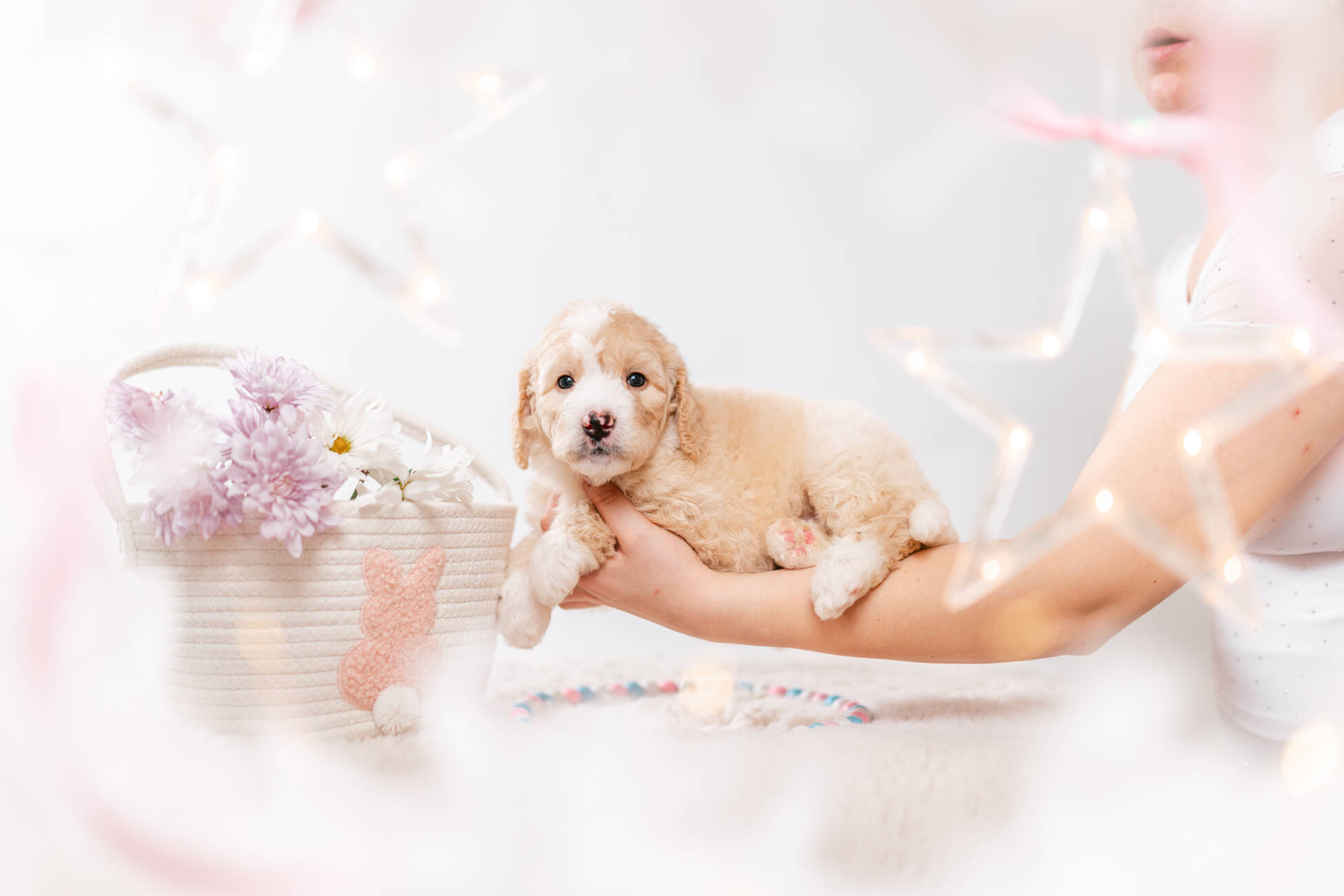 3litter 1g7279фокси 6