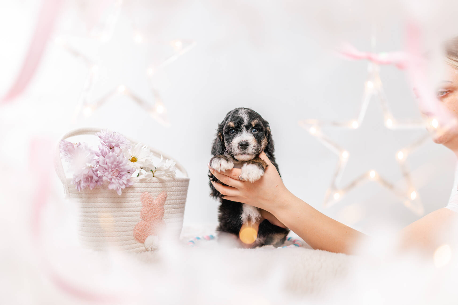 3litter 2g7020фифи 1