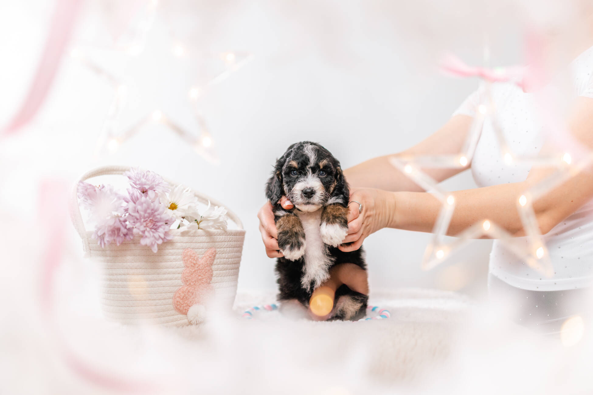 3litter 2g7020фифи 2