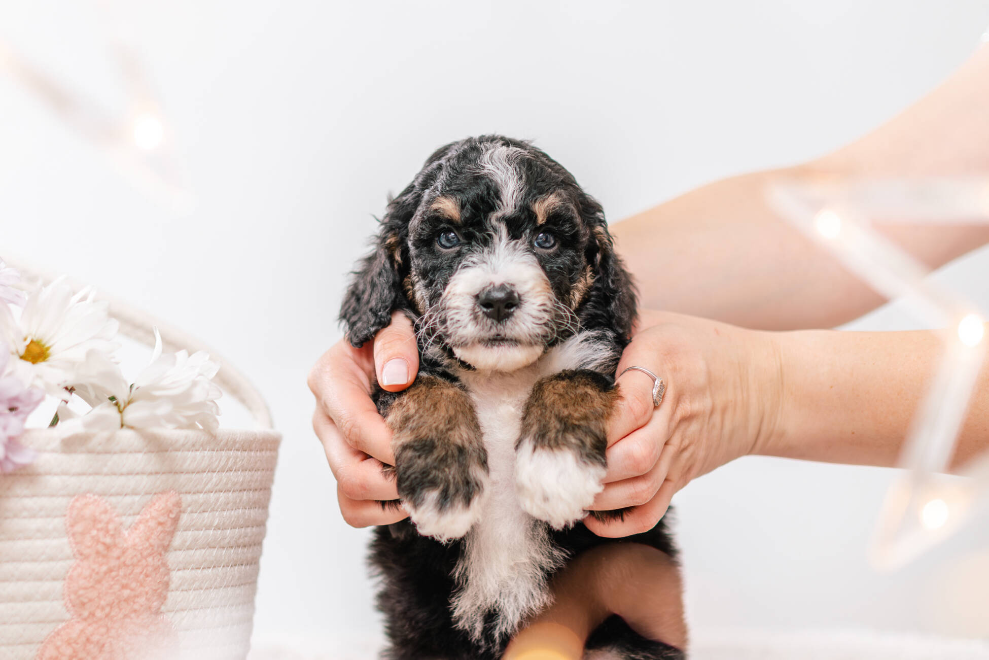 3litter 2g7020фифи 3